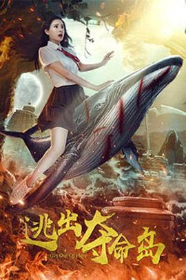 500福利视频导航